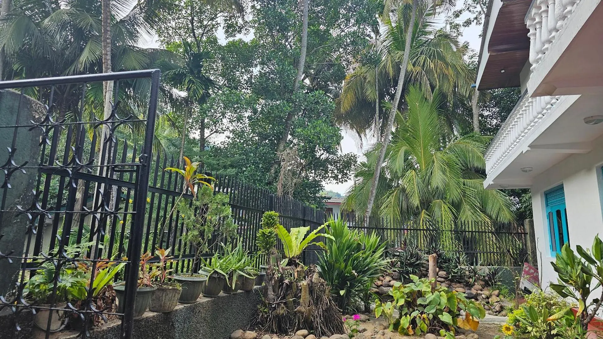The Lodge Kandy